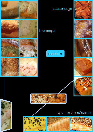 lien recette saumon et fromage ou sauce soja